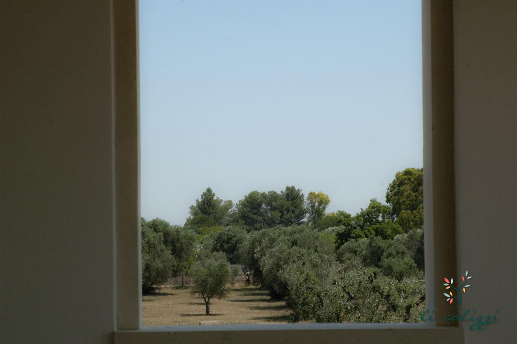 Agriturismo Li Calizzi Arte E Natura Novoli Стая снимка