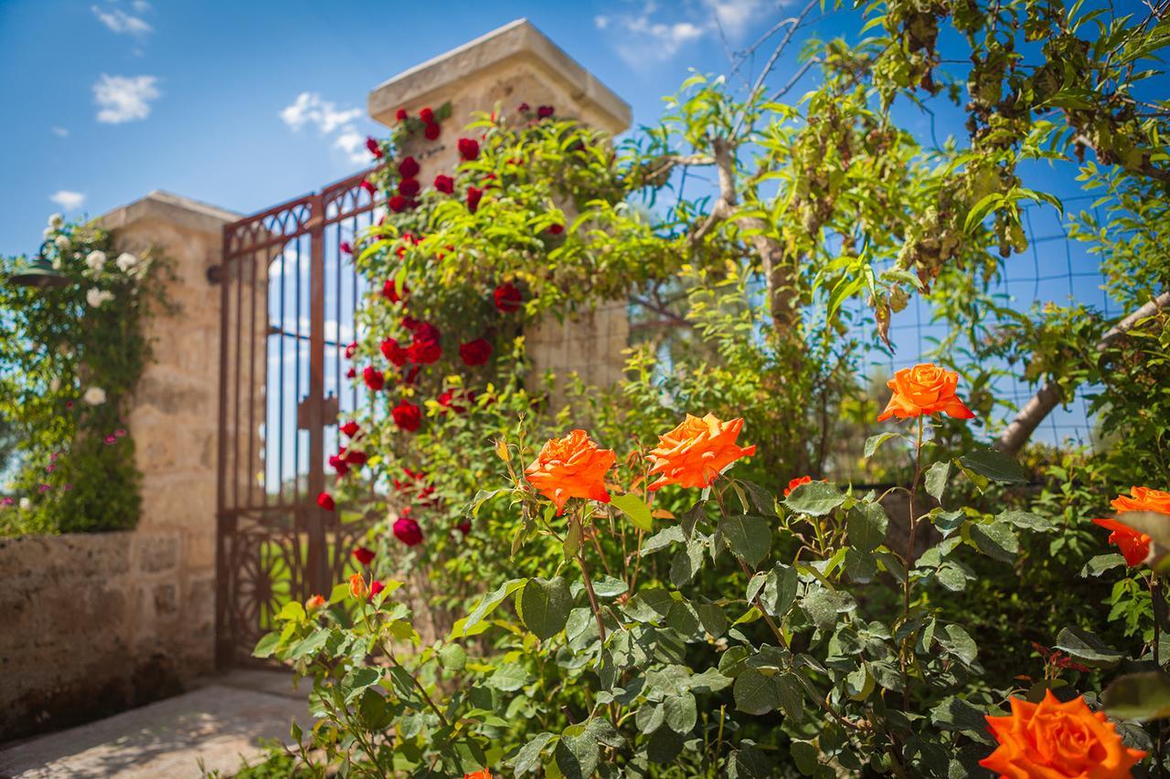 Agriturismo Li Calizzi Arte E Natura Novoli Екстериор снимка
